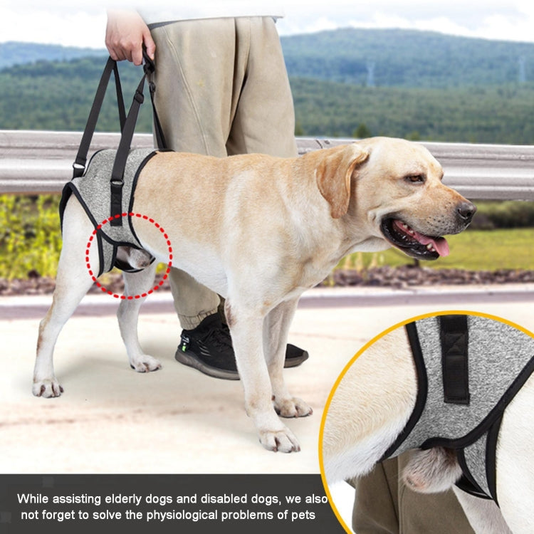 Dog Hind Leg Auxiliary Strap Decompression Auxiliary Travel Belt For Elderly and Injured Dog, Size: L - Protector Walking Aids by PMC Jewellery | Online Shopping South Africa | PMC Jewellery