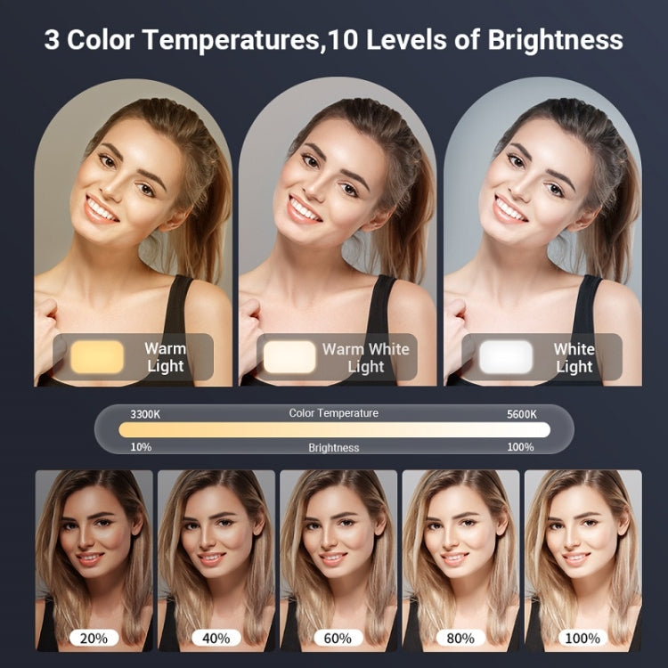 APEXEL APL-FL19 Live Portrait Soft Light Photography Dual Bracket Four-color Fill Light - Selfie Light by APEXEL | Online Shopping South Africa | PMC Jewellery | Buy Now Pay Later Mobicred