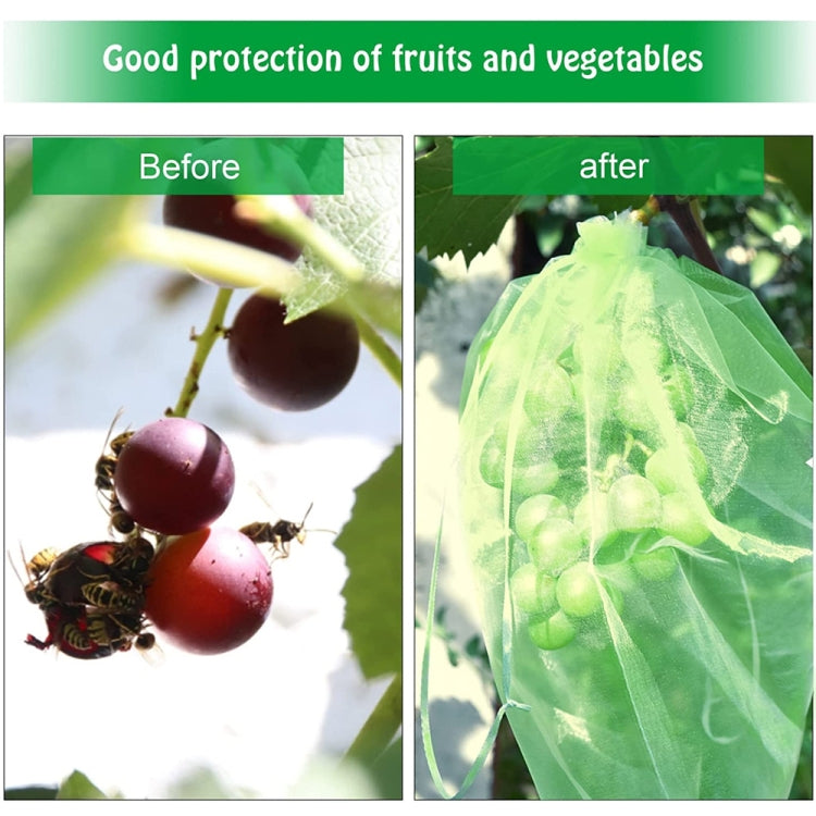 100pcs /Pack  Fruit Protection Bag Anti-Insect And Anti-Bird Net Bag 13 x 18cm(Black) - Plant Support & Care by PMC Jewellery | Online Shopping South Africa | PMC Jewellery