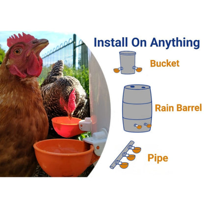 Automatic Chicken Waterer Cups Chicken Water Feeder Random Color - Drinking Fountain by PMC Jewellery | Online Shopping South Africa | PMC Jewellery