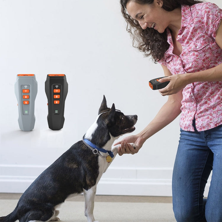 LED Flashing Light Handheld Ultrasonic Bark Arrester Frequency Conversion Dog Training Device(Gray+Orange) - Training Aids by PMC Jewellery | Online Shopping South Africa | PMC Jewellery | Buy Now Pay Later Mobicred