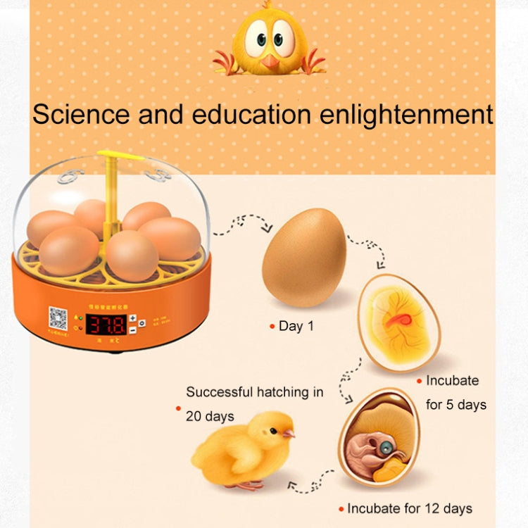 6-Eggs Small Household Experimental Children Smart Chicken Incubators, Spec: Automatic EU Plug - free shipping - PMC TechLife - Order now!