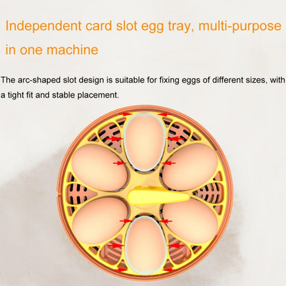 6-Eggs Small Household Experimental Children Smart Chicken Incubators, Spec: Dual-electric Automatic AU Plug - Incubators by PMC Jewellery | Online Shopping South Africa | PMC Jewellery