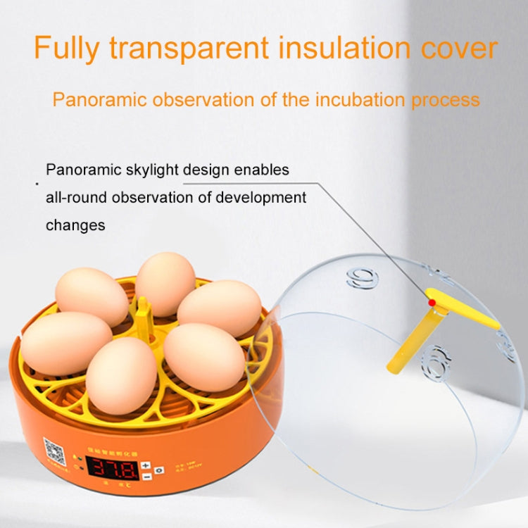 6-Eggs Small Household Experimental Children Smart Chicken Incubators, Spec: Manual US Plug - Incubators by PMC Jewellery | Online Shopping South Africa | PMC Jewellery