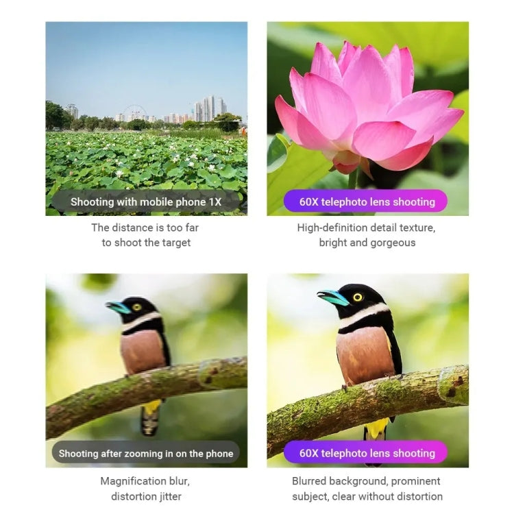 APEXEL 60X Smartphone Telescope Lens With Extendable Tripod Set - free shipping - PMC Jewellery - Order now!