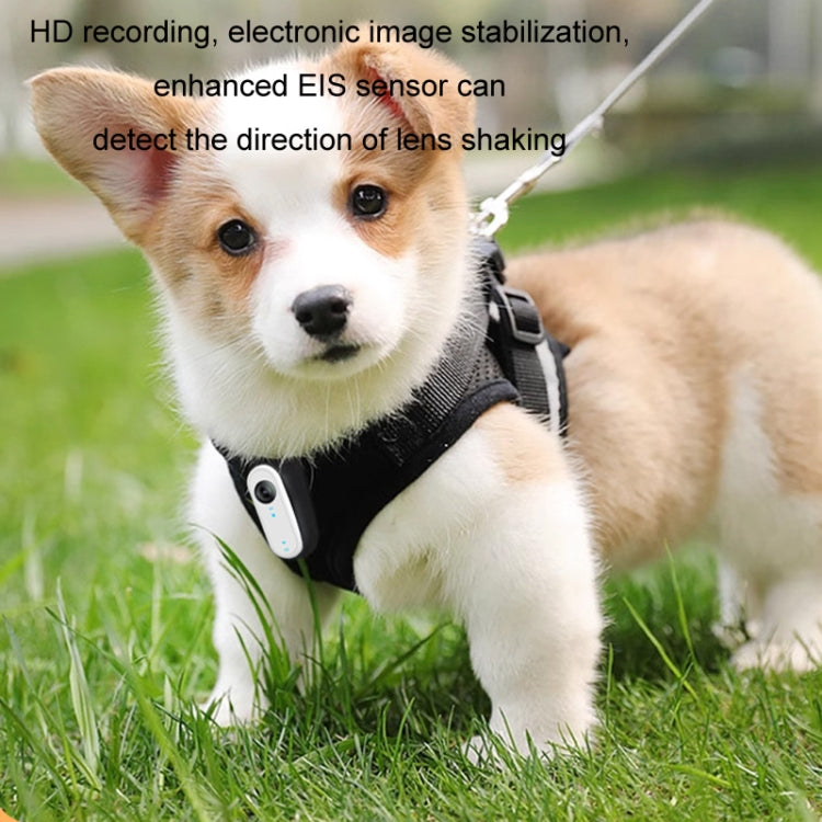 HD Outdoor Portable Pet Recorder Cycling Sports Camera, Specifications: With Silicone Collar+32G TF Card - Video Cameras by PMC TechLife | Online Shopping South Africa | PMC TechLife | Buy Now Pay Later Mobicred