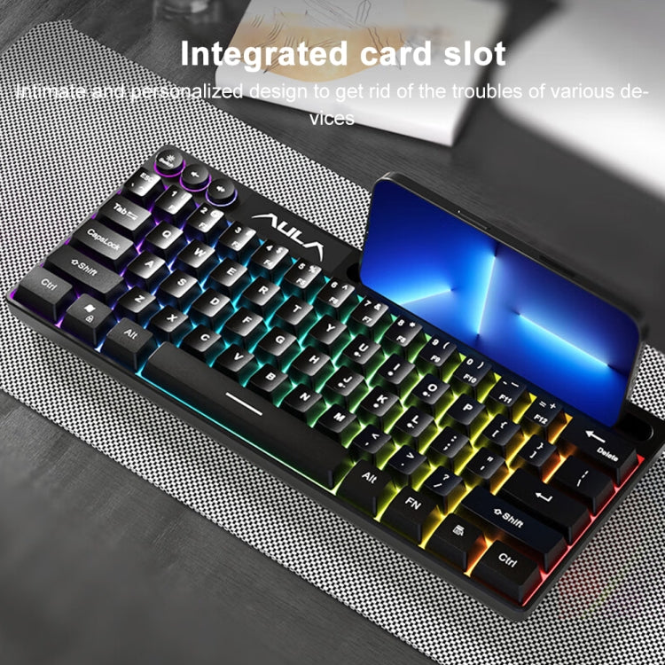 AULA F3061 Wired Mini RGB Backlit Mechanical Keyboard With Mechanical Feel(Black) - Wired Keyboard by AULA | Online Shopping South Africa | PMC Jewellery | Buy Now Pay Later Mobicred