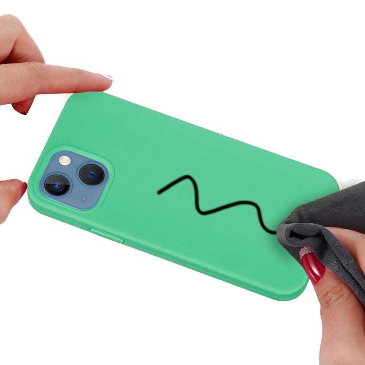 For iPhone 15 Plus Solid Color Silicone Phone Case(Green) - iPhone 15 Plus Cases by PMC TechLife | Online Shopping South Africa | PMC TechLife