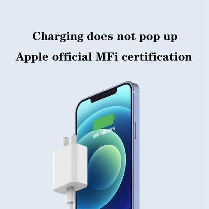 Original Xiaomi 20W MFi Certification USB-C / Type-C Charger with 8 Pin Cable, US Plug (White) - USB Charger by Xiaomi | Online Shopping South Africa | PMC Jewellery