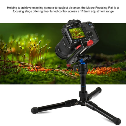 PULUZ Macro Focusing Rail Slider Close-up Shooting Tripod Head Quick Release Plate Holder - Quick Release Plate by PULUZ | Online Shopping South Africa | PMC Jewellery | Buy Now Pay Later Mobicred