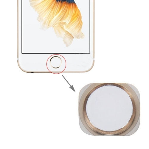 Home Button for iPhone 6s (Gold) - iPhone 6S/6S Plus Parts by PMC Jewellery | Online Shopping South Africa | PMC Jewellery