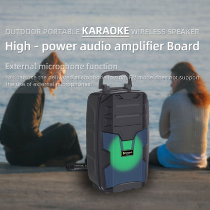 NewRixing NRG401C Outdoor Portable Karaoke Wireless Speaker High-Power Audio Amplifier With Mic(Black) - Loudspeaker by New Rixing | Online Shopping South Africa | PMC Jewellery