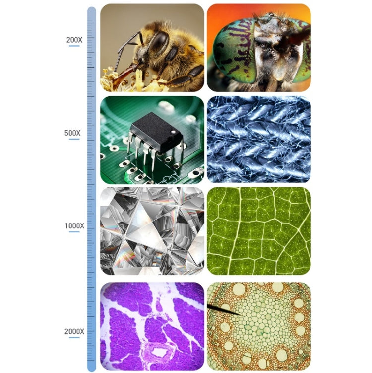 2000X 7 Inch Microbial Cell Observation Microscope Electronic Digital Magnifying Glass - free shipping - PMC TechLife - Order now!