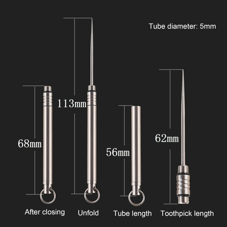 Titanium Alloy Integrated Toothpick Holder Portable Non-Disposable Toothpicks - Others by PMC Jewellery | Online Shopping South Africa | PMC Jewellery