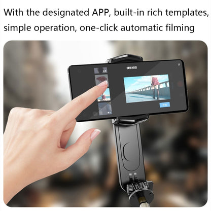 Removable Fill Light Phone Handheld Stabilizer with APP(Q09 Black) - Handheld Gimbals by PMC Jewellery | Online Shopping South Africa | PMC Jewellery