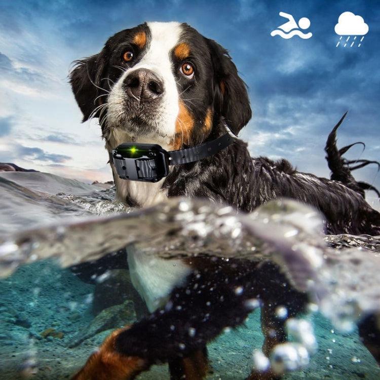 800m Remote Control Stop Barker Dog Trainer Smart Anti-Disturbance Vibration Collar, Specification: With 2 Collars - Training Aids by PMC TechLife | Online Shopping South Africa | PMC TechLife | Buy Now Pay Later Mobicred